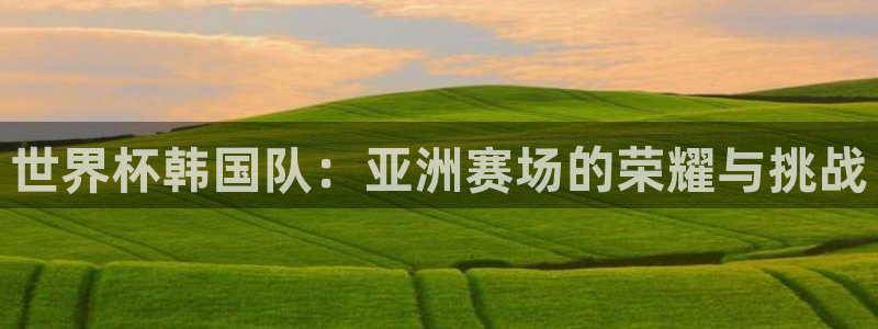2026世界杯直播：世界杯韩国队：亚洲赛场的荣耀与挑战