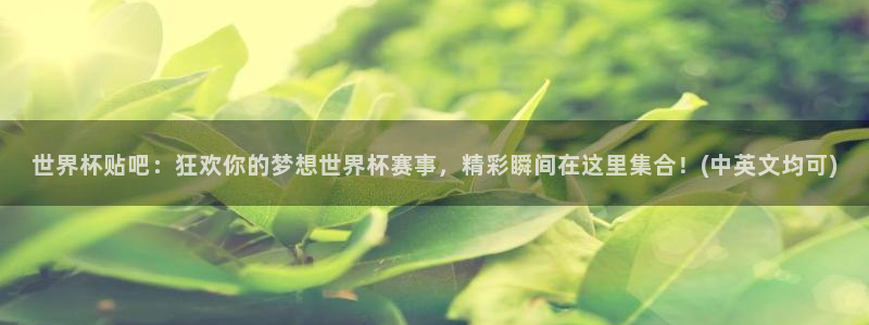 2026年世界杯赛程时间表格：世界杯贴吧：狂欢你的梦想世界杯赛事，精彩瞬间在这里集合！(中英文均可)