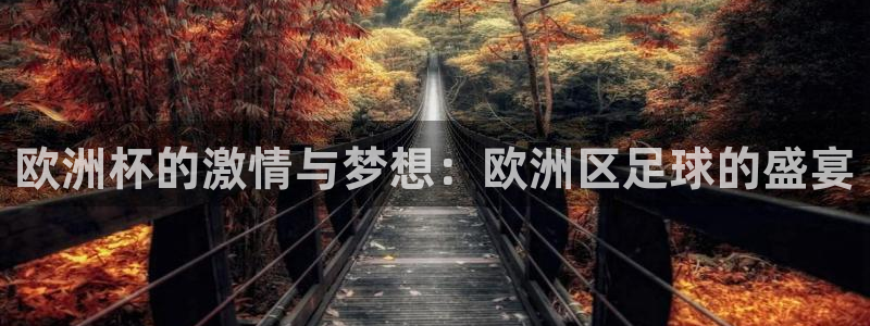 2026年世界杯赛程表时间：欧洲杯的激情与梦想：欧洲区足球的盛宴