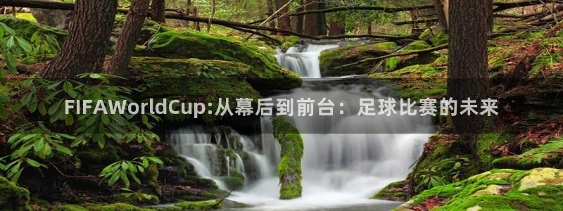 欧洲世预赛赛程表：FIFAWorldCup:从幕后到前台：足球比赛的未来