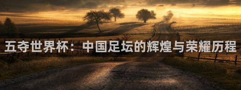 世界杯赛程时间表：五夺世界杯：中国足坛的辉煌与荣耀历程