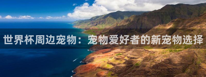 世界杯预选赛2026：世界杯周边宠物：宠物爱好者的新宠物选择