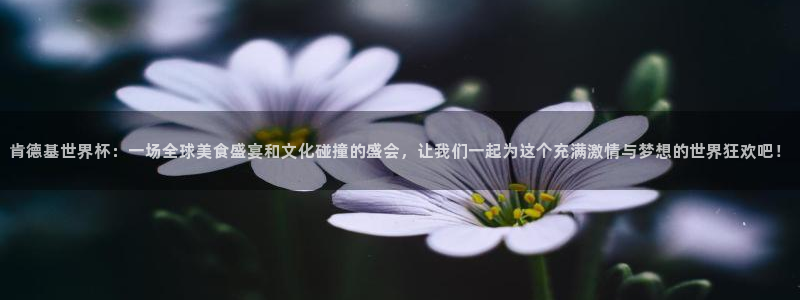 2026世亚预赛赛程表：肯德基世界杯：一场全球美食盛宴和文化碰撞的盛会，让我们一起为这个充满激情与梦想的世界狂欢吧！