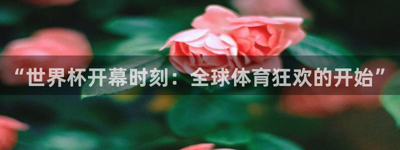 世界杯赛程表2026：“世界杯开幕时刻：全球体育狂欢的开始”
