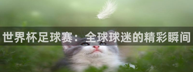 世界杯赛程表2026：世界杯足球赛：全球球迷的精彩瞬间