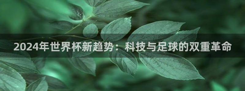 26世界杯：2024年世界杯新趋势：科技与足球的双重革命