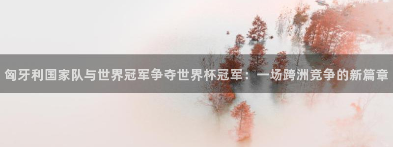 世界杯预选赛欧洲区赛程：匈牙利国家队与世界冠军争夺世界杯冠军：一场跨洲竞争的新篇章