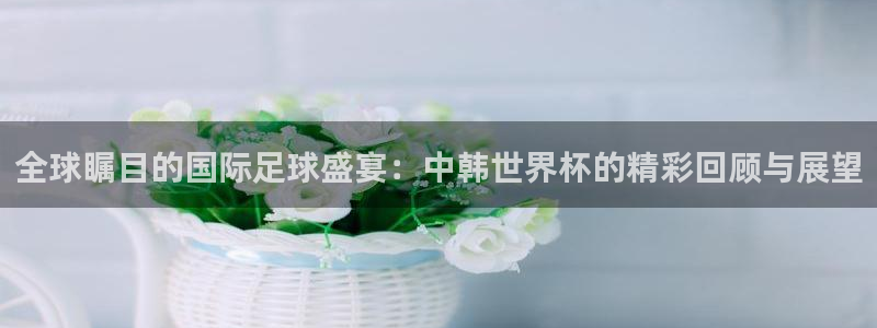 免费足球比赛直播高清：全球瞩目的国际足球盛宴：中韩世界杯的精彩回顾与展望